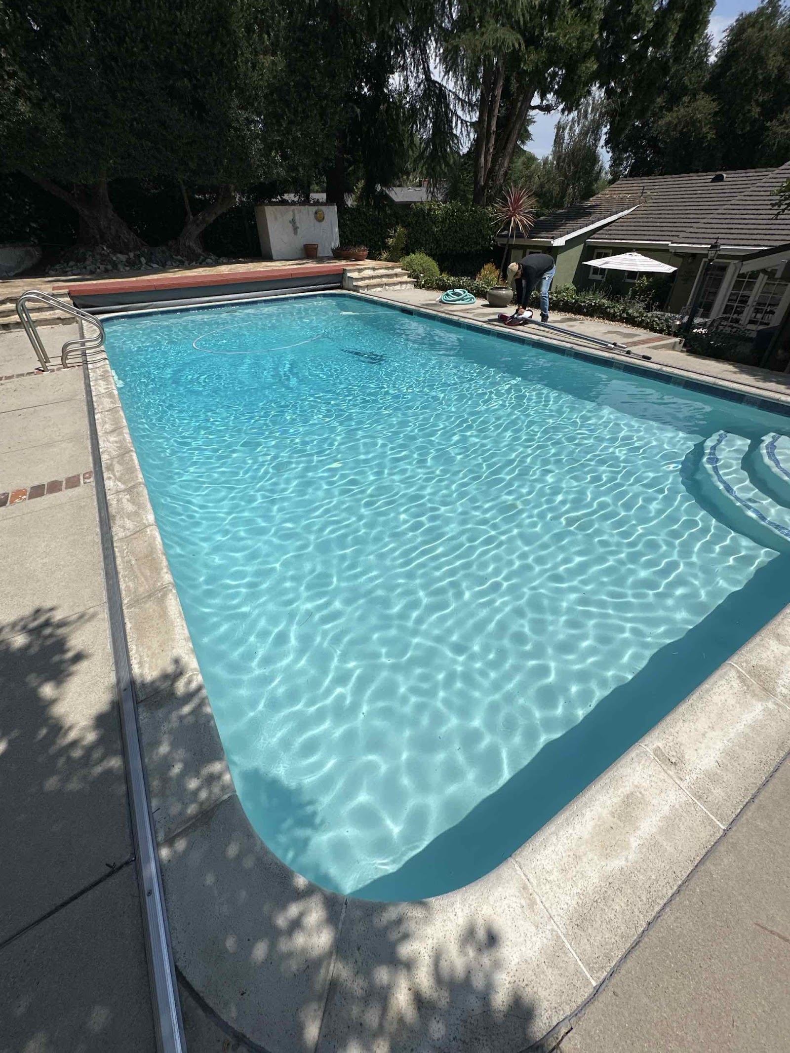 Modern Saltwater Pool in Glendale